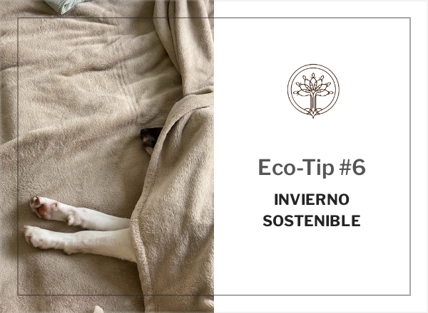 Eco-Tip #6: Invierno Sostenible
