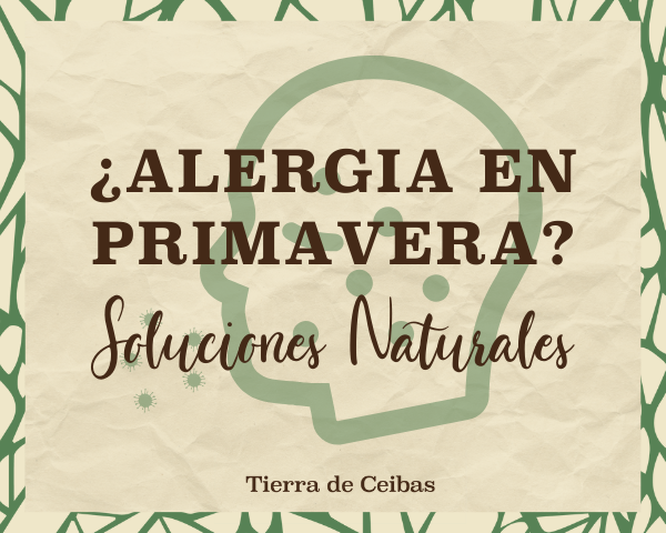 Alergias en Primavera - Soluciones Naturales - Tierra de Ceibas
