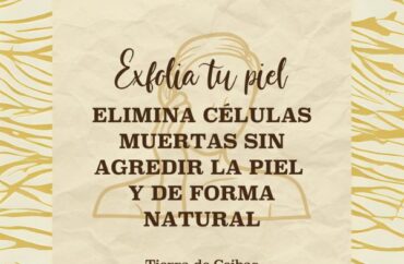 Exfoliantes Naturales para tu Piel - Tierra de Ceibas